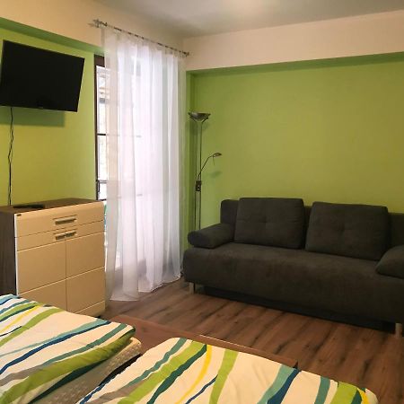 Ferienwohnung Krusne Hory - Klinovec 2 Km- Jachymov 2-4 Osoby Exterior foto