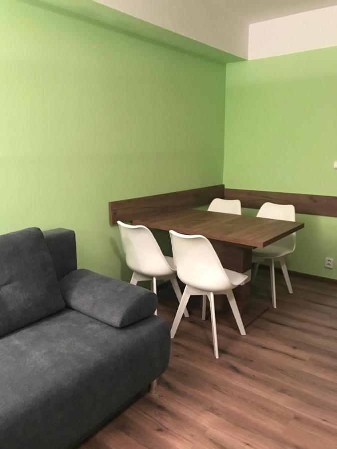 Ferienwohnung Krusne Hory - Klinovec 2 Km- Jachymov 2-4 Osoby Exterior foto
